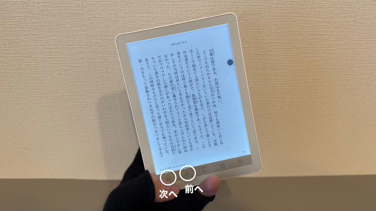 タッチキーでページを前後に読み進める